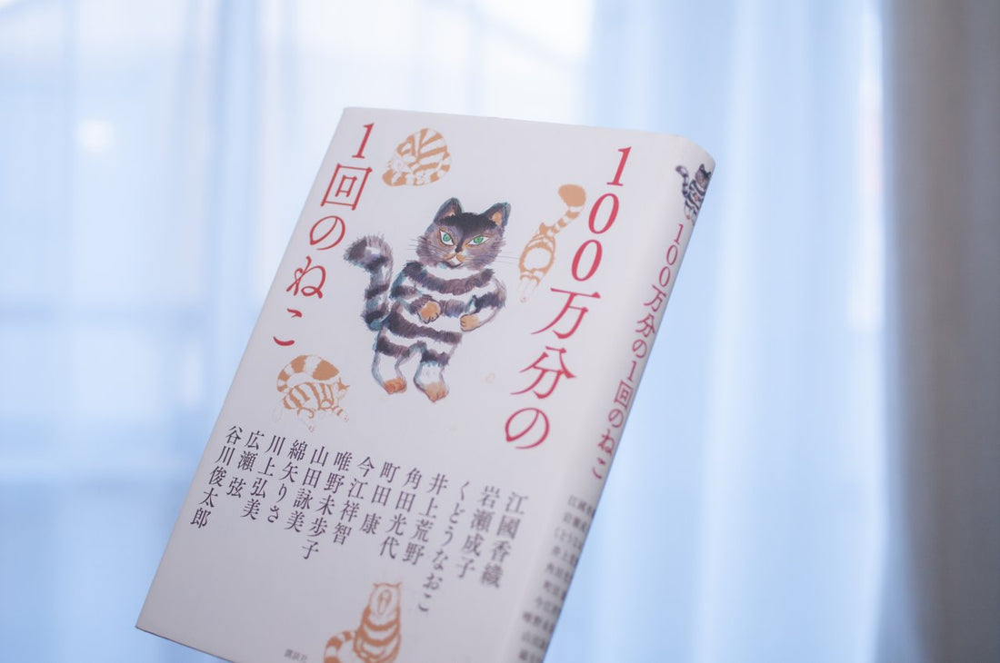 【100万分の1回のねこ】13名の豪華作家陣によるトリビュート短編集