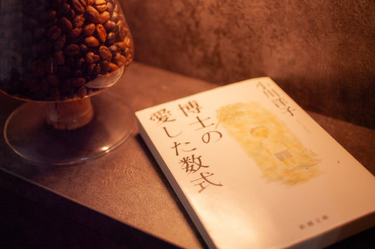 【博士の愛した数式】記憶と数学の美しさについての物語