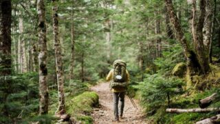 【おすすめコース30選】つらくない「フラット登山」｜膝にやさしく、自然とつながる